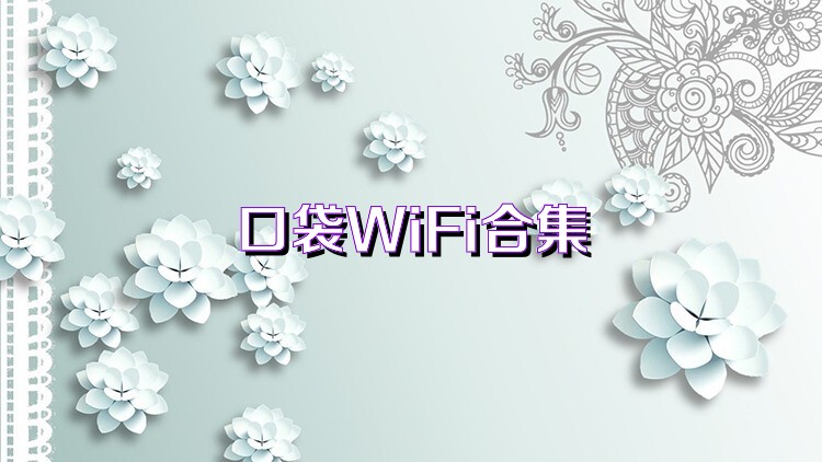 口袋WiFi合集