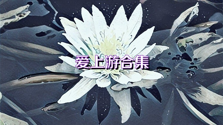 爱上游合集