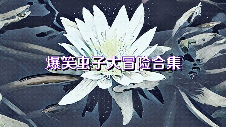 爆笑虫子大冒险合集