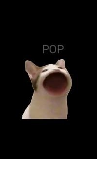 PopCat2