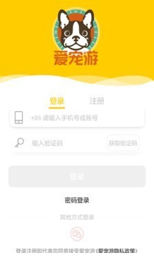 爱宠游1