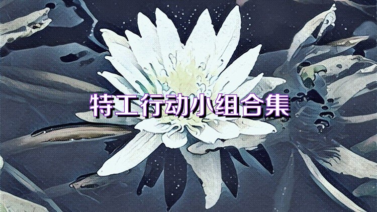 特工行动小组合集