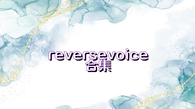 reversevoice合集