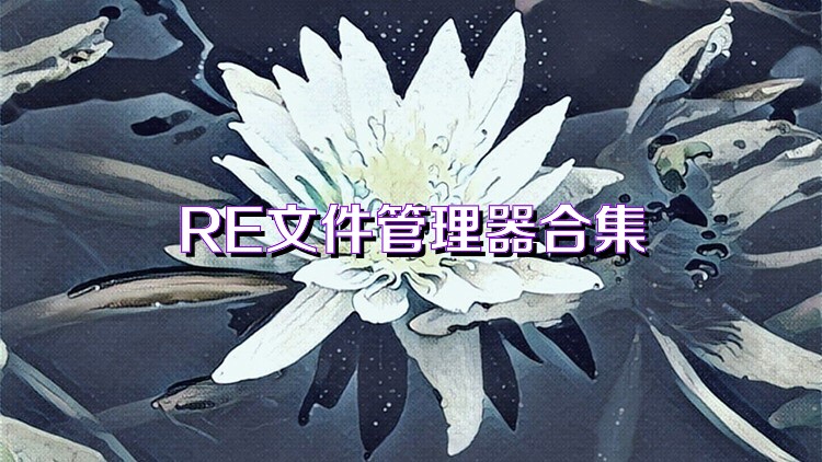 RE文件管理器合集