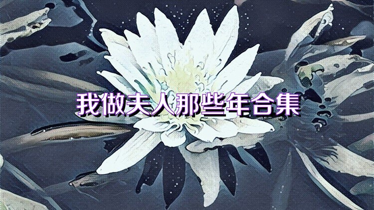 我做夫人那些年合集