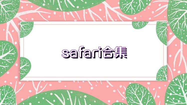 safari合集