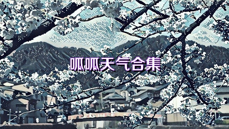 呱呱天气合集