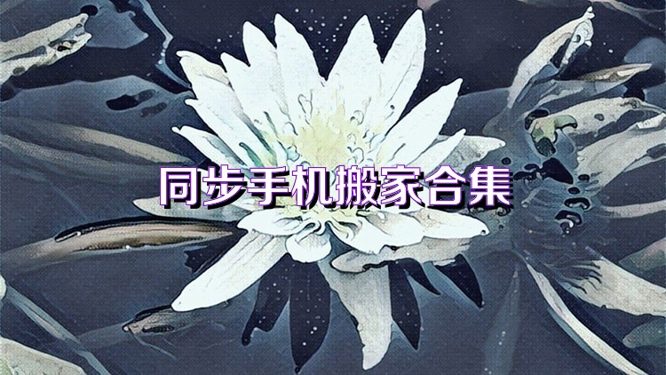 同步手机搬家合集