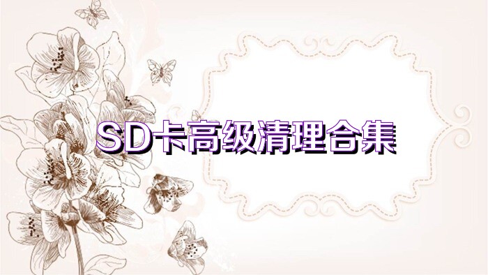 SD卡高级清理合集