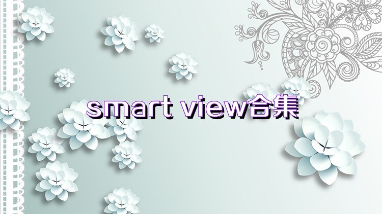 smart view合集