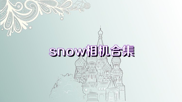 snow相机合集