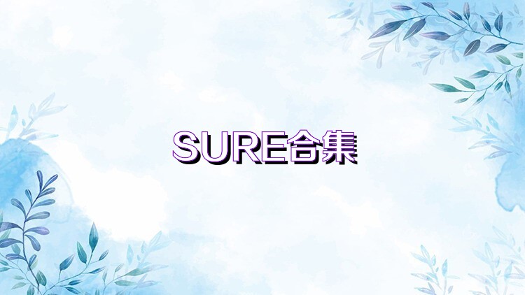 SURE合集