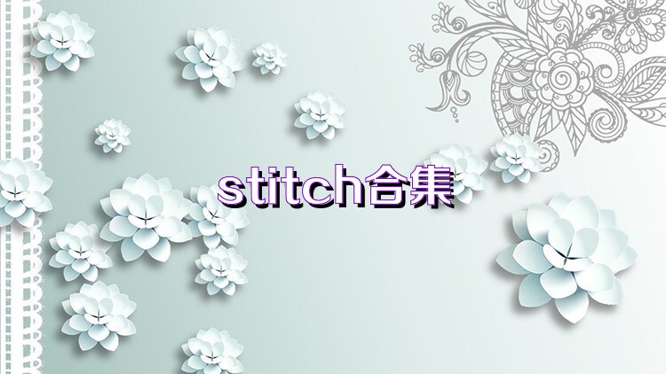 stitch合集