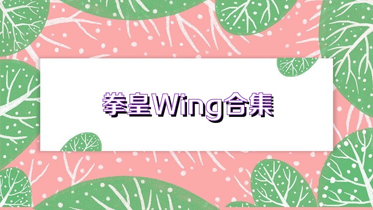 拳皇Wing合集