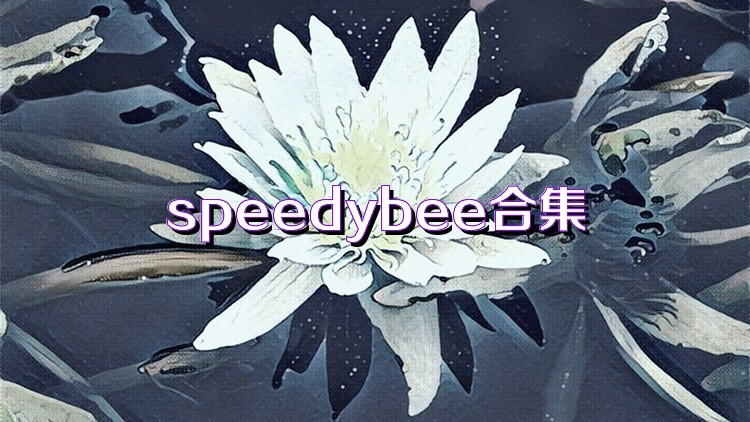 speedybee合集