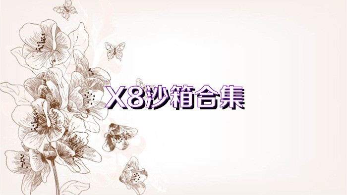 X8沙箱合集