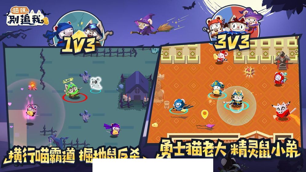 猫咪别追我1