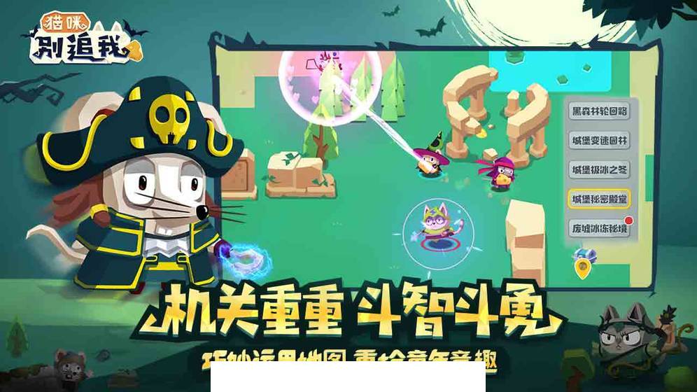 猫咪别追我2