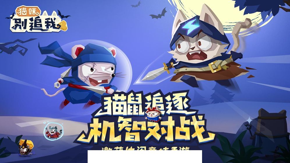 猫咪别追我4