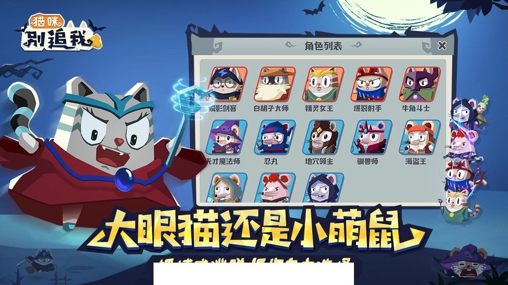 猫咪别追我5