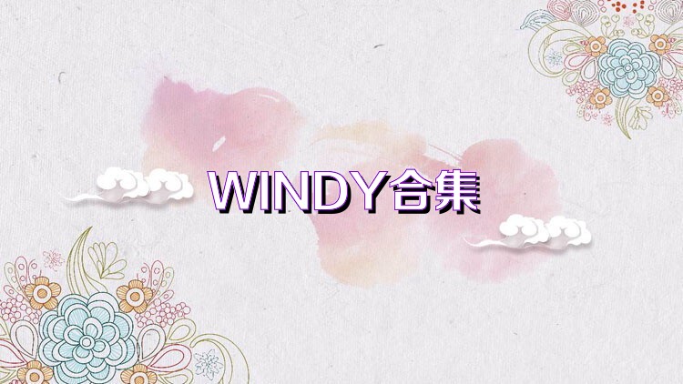 WINDY合集