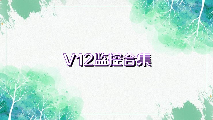 V12监控合集