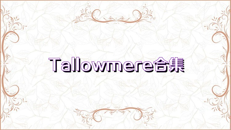 Tallowmere合集