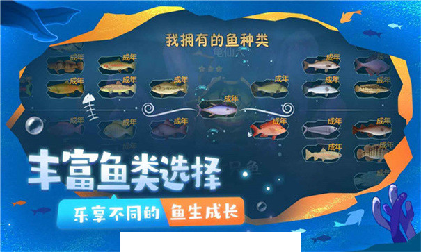 一只鱼最新版2