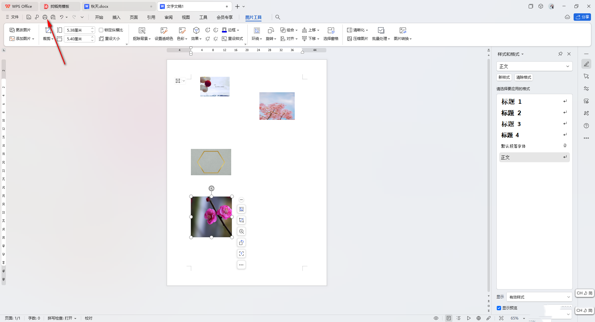 WPS Word文档怎么打印图片 WPS Word文档打印图片的方法