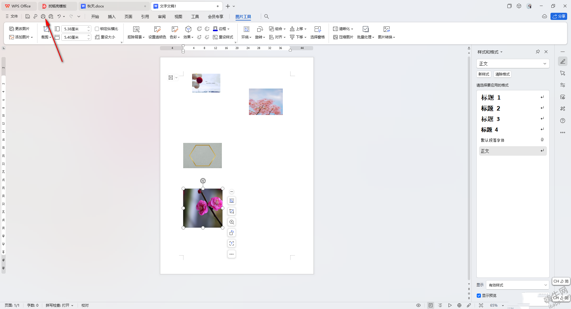WPS Word文档怎么打印图片 WPS Word文档打印图片的方法