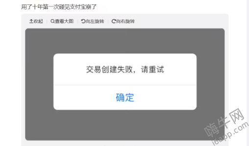 支付宝崩了：服务出现异常 无法付款