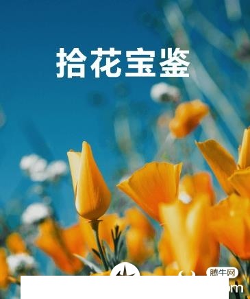 拾花宝鉴