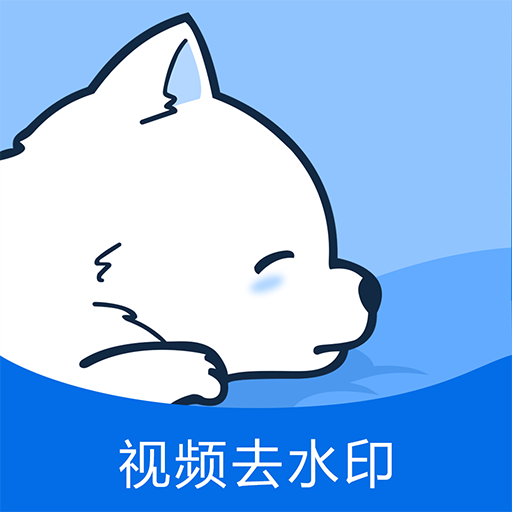 视频去水印专家app