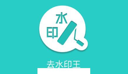 去水印王app