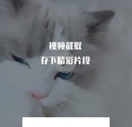 视频编辑王app