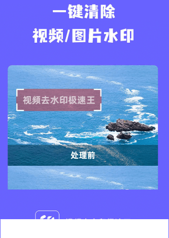 视频去水印极速王app