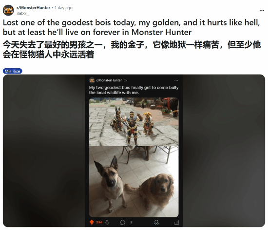 游戏成追忆！怪物猎人玩家打造爱犬角色，痛失其一引网友共鸣