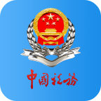 广东税务app