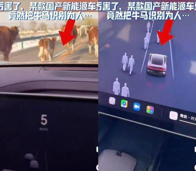 小米SU7智驾系统再遭质疑，牛群被误识成人群