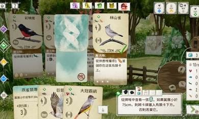 展翅翱翔1