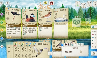 展翅翱翔2