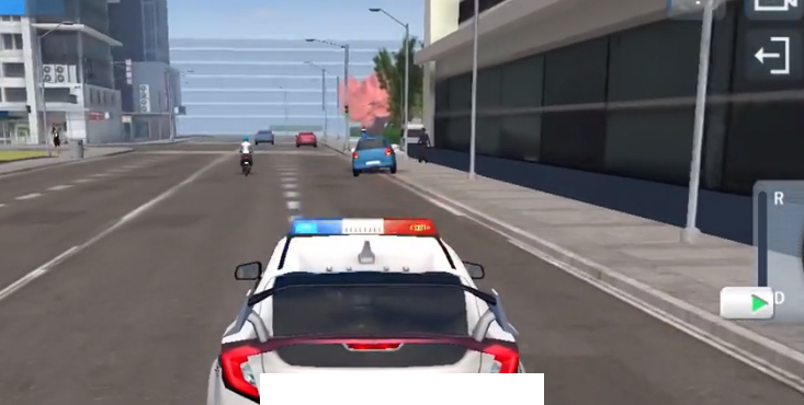 警察驾驶模拟2022(Police Sim 2022)