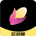 熟玉米视频app