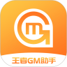 王者GM助手app