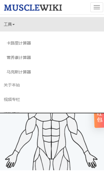 MuscleWiki手机版2