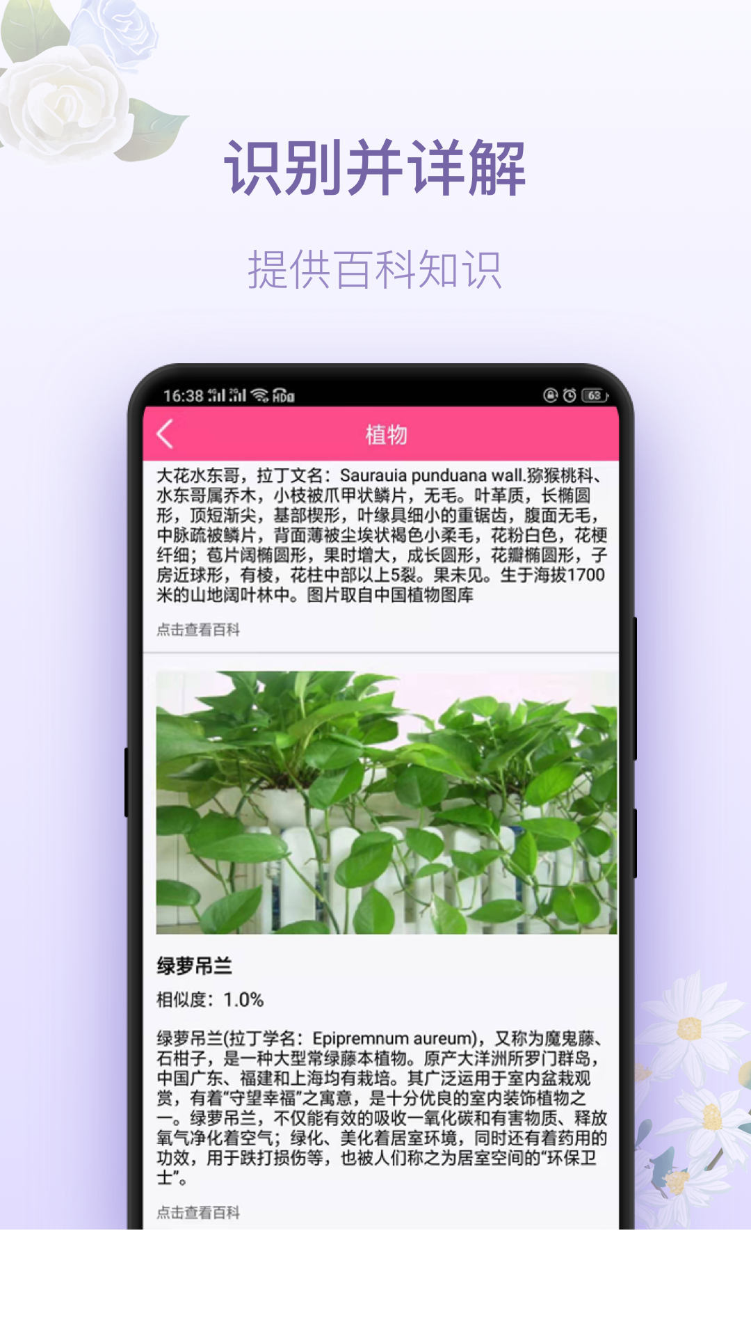 拍照识花神器app0