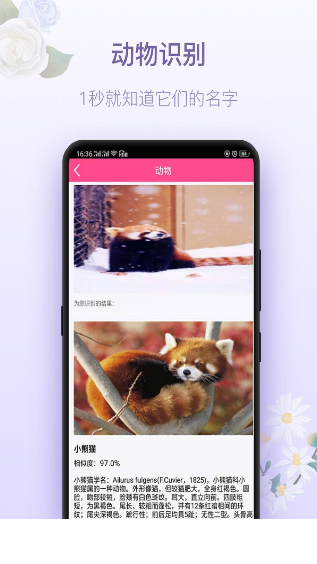 拍照识花神器app1