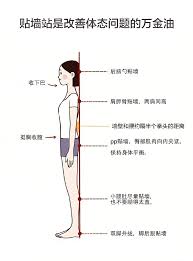 护肩墙：守护安全与舒适的建筑奇迹