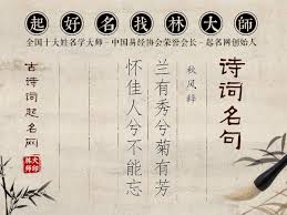 幽兰佳人：魅力绽放的美丽秘诀