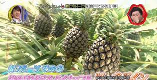 时令果蔬盛宴：香蕉菠萝水蜜桃黄瓜丝瓜秋葵清爽上市